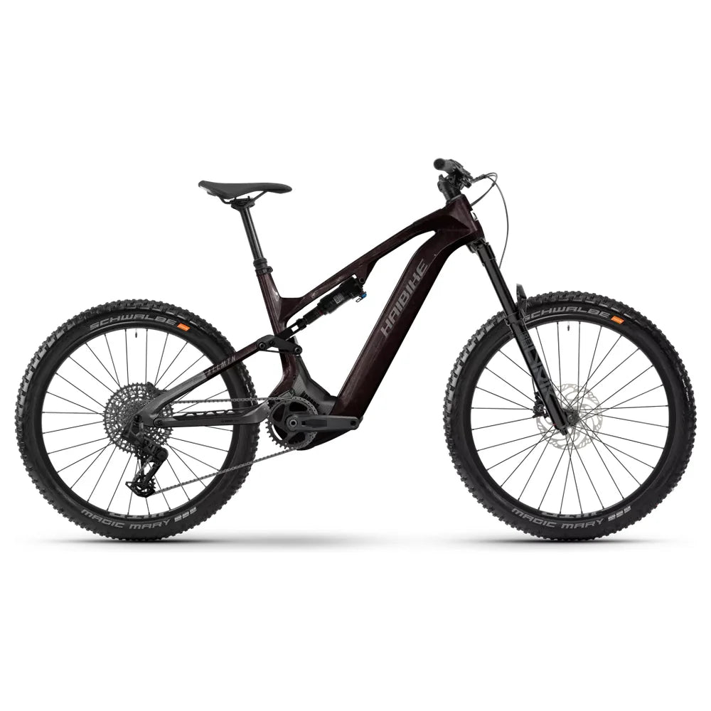 Haibike 2025 ALLMTN CF 9 i 25 HB C2