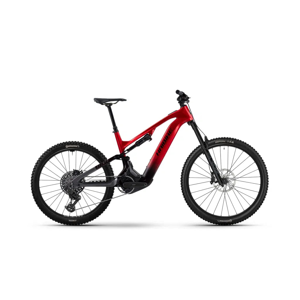Haibike ALLMTN CF 9