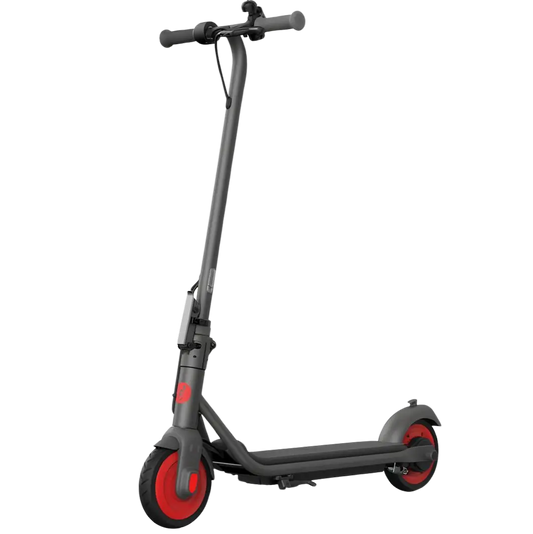 Segway Ninebot ZING C20 Kids Electric Scooter