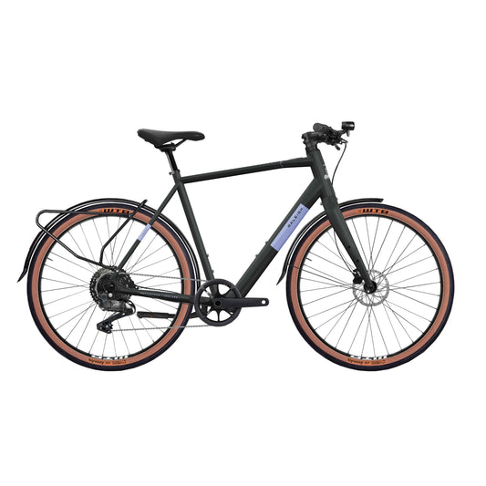 Raleigh Trace Electric Bike